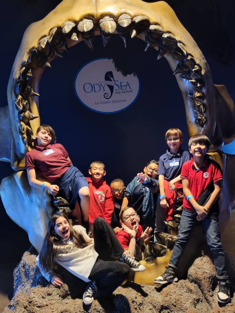  OdySea Aquarium